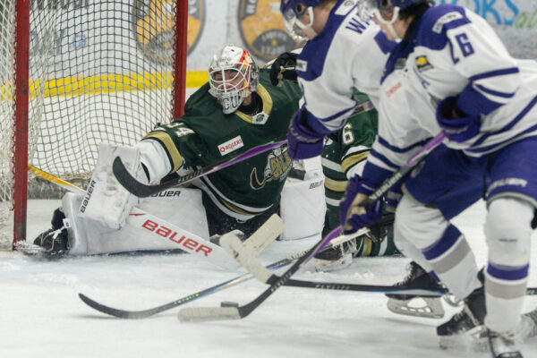 Oilers couldn’t halt the Silverbacks offence